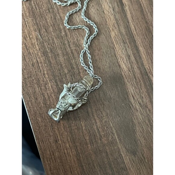 Angel Dust Necklace for women or men Fairy Dust necklace vase pendant vial new - Picture 3 of 3